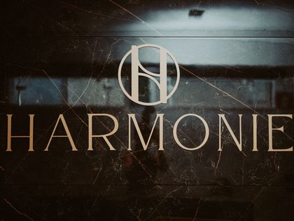 Parede de mármore com o logotipo da Harmonie